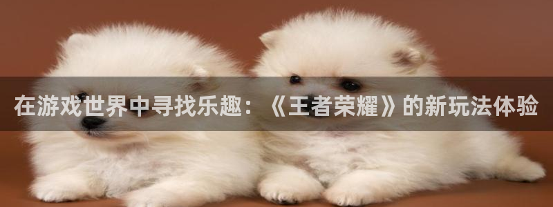 杏鑫：在游戏世界中寻找乐趣：《王者荣耀》的新玩法体验